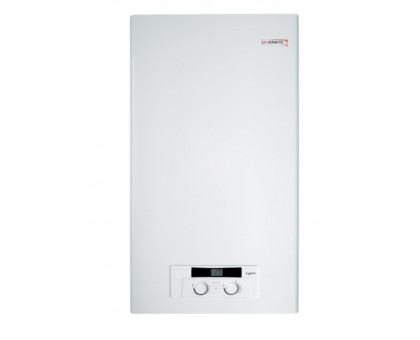 Котел газовый PROTHERM Рысь НК 24